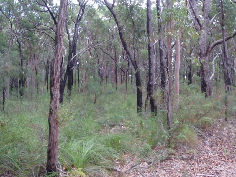 Lot 2083 Manilla Crescent, North Arm Cove NSW 2324