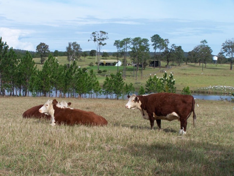 353 Myall Way, Tea Gardens NSW 2324