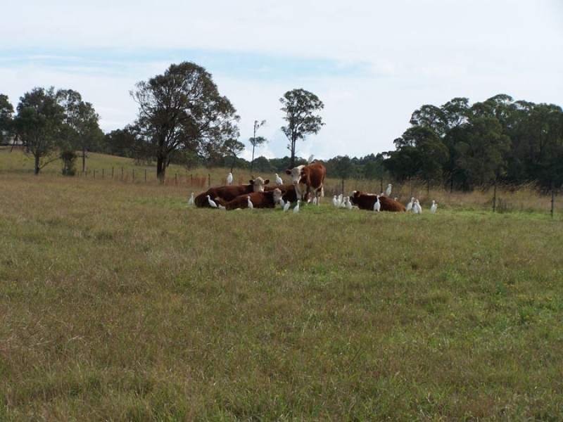 353 Myall Way, Tea Gardens NSW 2324