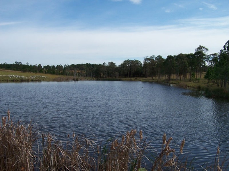 353 Myall Way, Tea Gardens NSW 2324