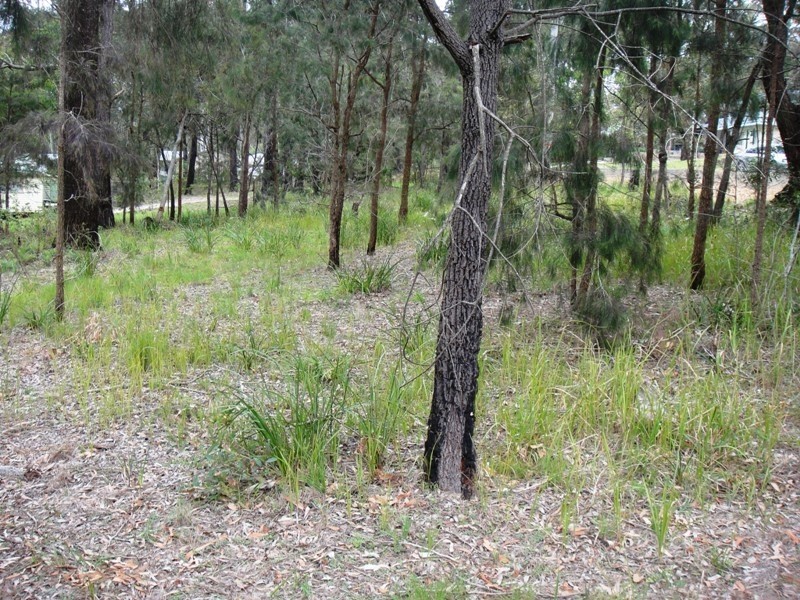 78 Eastslope Way, North Arm Cove NSW 2324