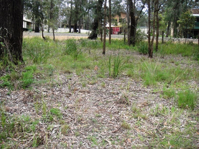 78 Eastslope Way, North Arm Cove NSW 2324