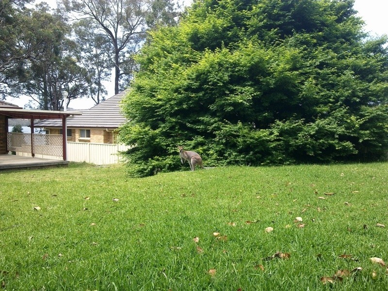 North Arm Cove NSW 2324