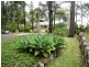 71 Cove Boulevarde, North Arm Cove NSW 2324