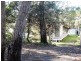 4 Dolphin Avenue, Hawks Nest NSW 2324