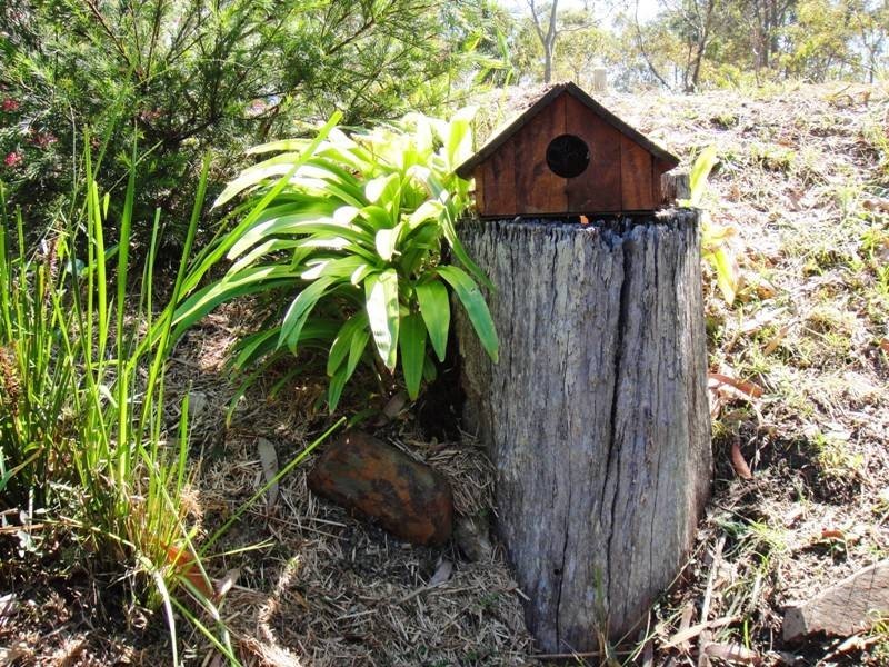 53 Curlew Crescent, Nerong NSW 2423