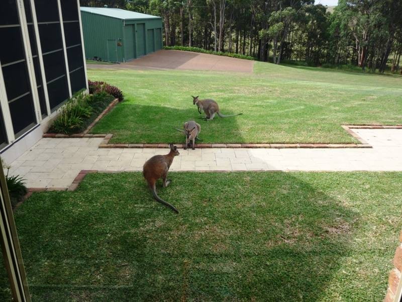 1 Prion Place, Tea Gardens NSW 2324