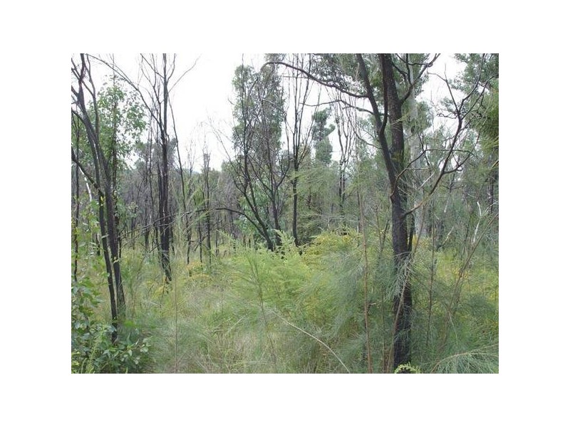105 Deepwater Road, North Arm Cove NSW 2324
