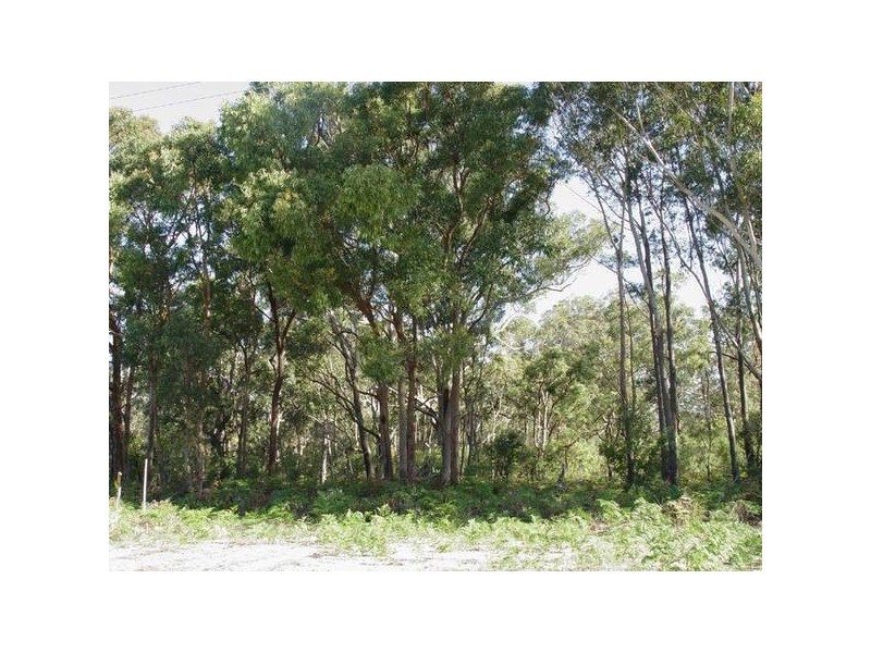 24 Warri Street, Pindimar NSW 2324