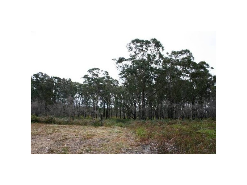 Lot 6 Cook Street, Pindimar NSW 2324