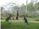 9 Kooraru Close, Tea Gardens NSW 2324