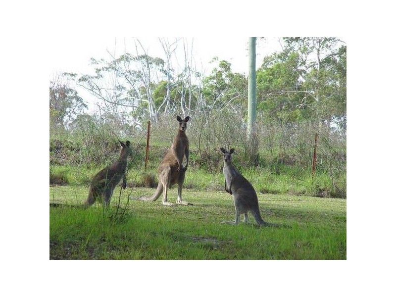 9 Kooraru Close, Tea Gardens NSW 2324