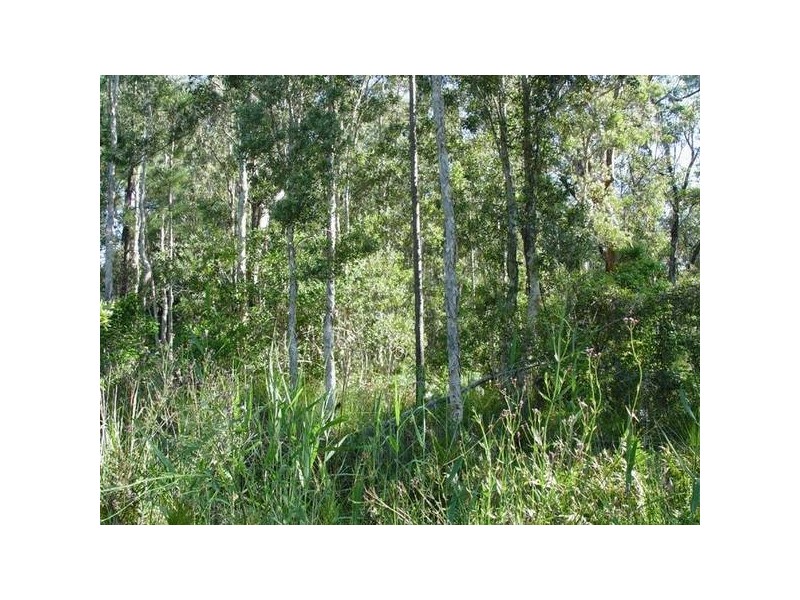 31 Kiora Street, Pindimar NSW 2324