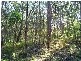 Lot 692 Point CIRCUIT, North Arm Cove NSW 2324