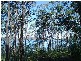 1577-1579 Allandale Crescent, North Arm Cove NSW 2324