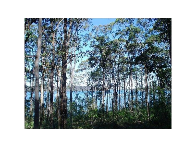 1577-1579 Allandale Crescent, North Arm Cove NSW 2324