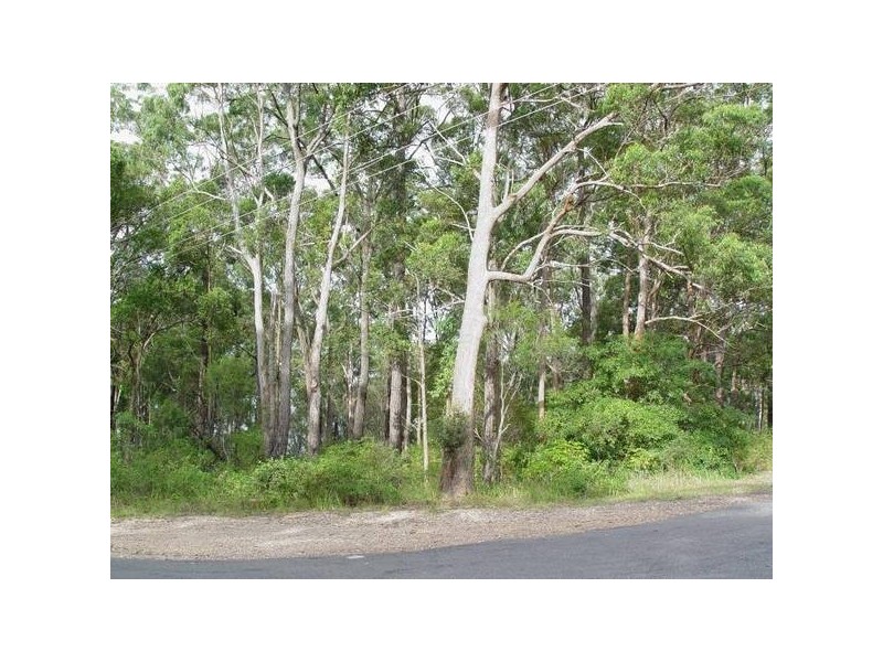 142 COVE Boulevard, North Arm Cove NSW 2324