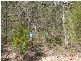 2 Town Hamilton, The Branch NSW 2425