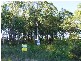 11 PLOVER Place, Nerong NSW 2423
