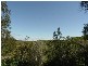11 Fishermans Walk, Hawks Nest NSW 2324