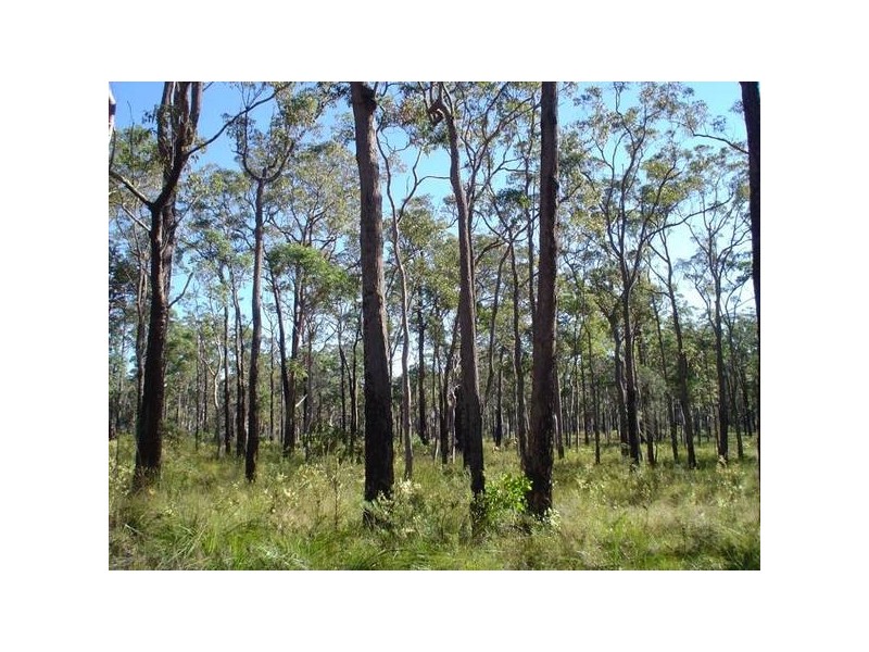 3049 Casino
Crescent, North Arm Cove NSW 2324