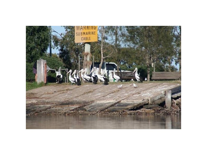 1 Stockmans Way, Tea Gardens NSW 2324