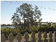 16 Moira Parade, Hawks Nest NSW 2324