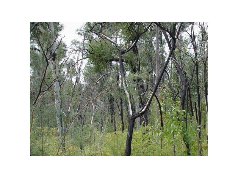110 Deepwater Road, North Arm Cove NSW 2324