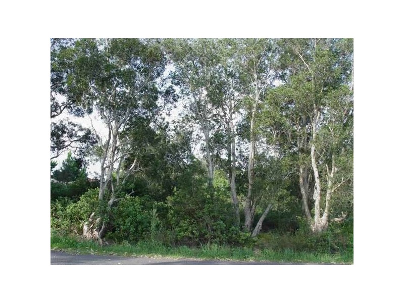 60-62 Witt Street, Tea Gardens NSW 2324
