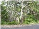 142 Cove Boulevard, North Arm Cove NSW 2324