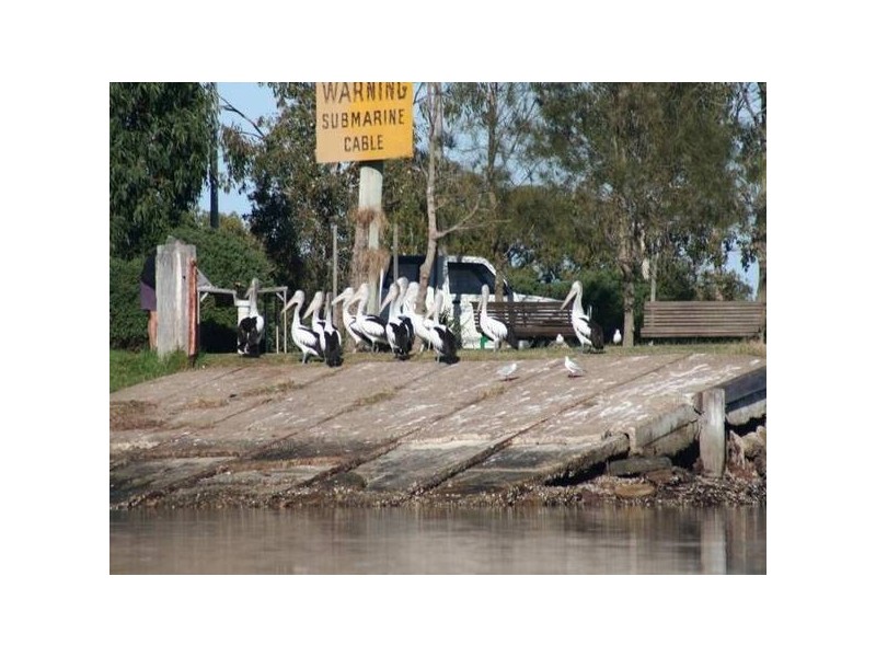 1 Stockmans Way, Tea Gardens NSW 2324