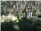 35 (Lot 66 Point Circuit, North Arm Cove NSW 2324