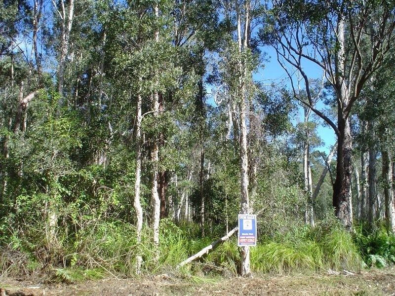 31 Kiora Street, Pindimar NSW 2324