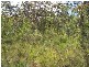 2310 Ulmarra Crescent, North Arm Cove NSW 2324