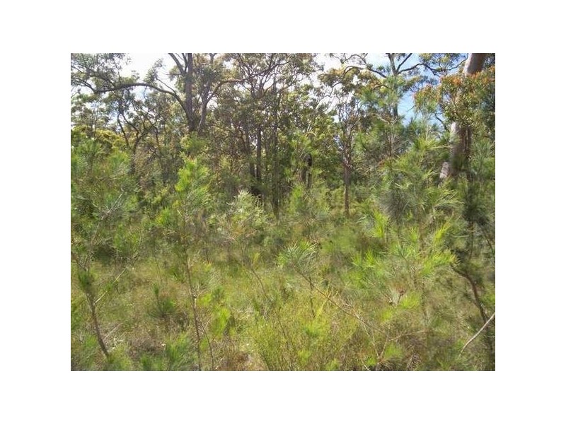 2310 Ulmarra Crescent, North Arm Cove NSW 2324