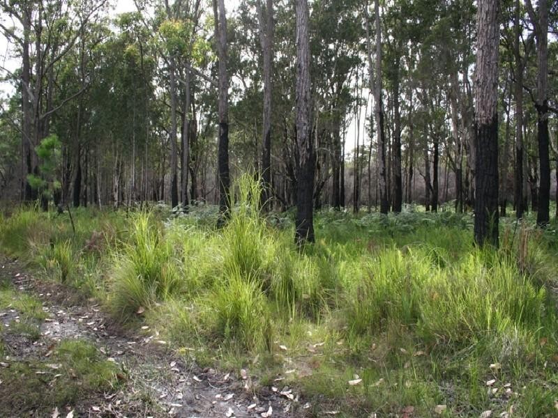 1-2-21-22/Sec 47 Challis Avenue, Pindimar NSW 2324