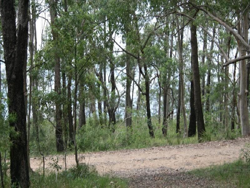 Lot 1581 Allandale Crescent, North Arm Cove NSW 2324