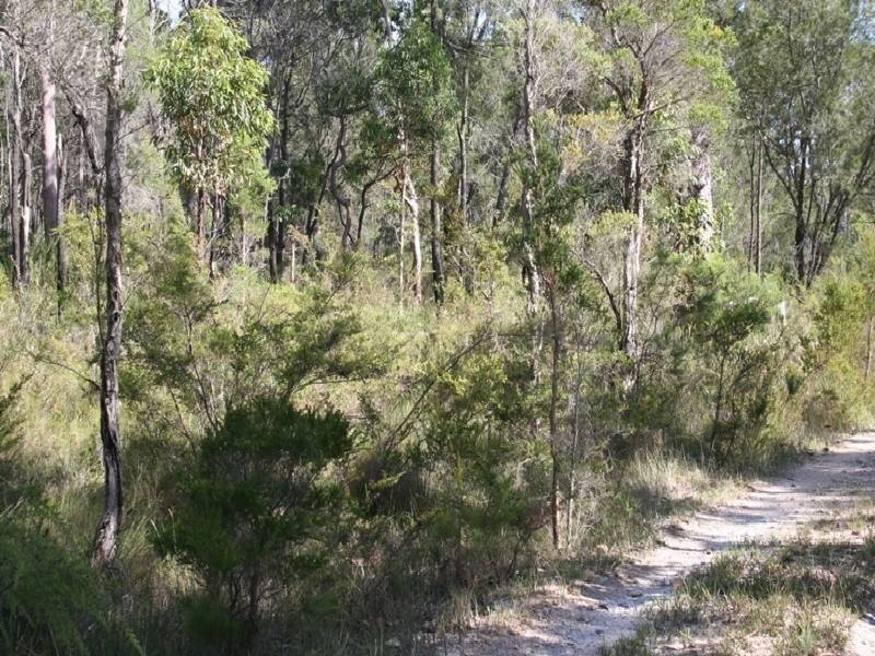 Lot 179 Guyra Gardens, North Arm Cove NSW 2324