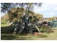 80 Holdom Road, Karuah NSW 2324