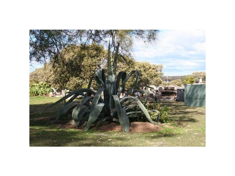80 Holdom Road, Karuah NSW 2324