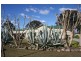 80 Holdom Road, Karuah NSW 2324