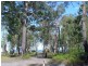 Lot 7,8 &9 Cambage Street, Pindimar NSW 2324