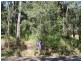 75 Cove Boulevarde, North Arm Cove NSW 2324
