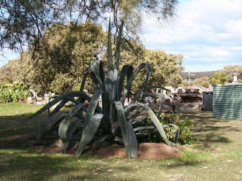 80 Holdom Road, Karuah NSW 2324