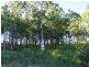 11 Plover Place, Nerong NSW 2423