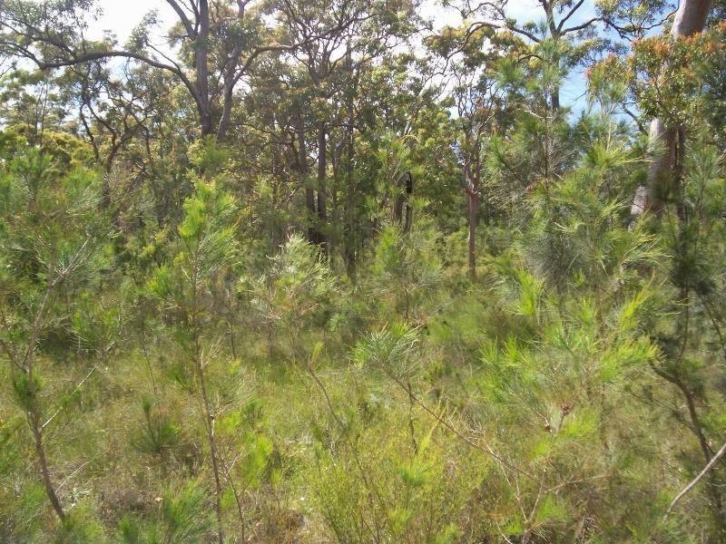 Lot 2310 Ulmarra Crescent, North Arm Cove NSW 2324