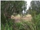 60-62 Witt Street, Tea Gardens NSW 2324