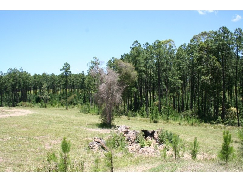 125 VINEY CREEK ROAD, Tea Gardens NSW 2324