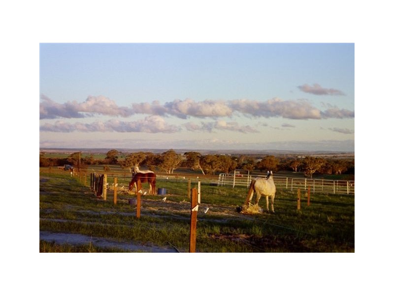 399 Dangin North Road, Dulbelling WA 6383