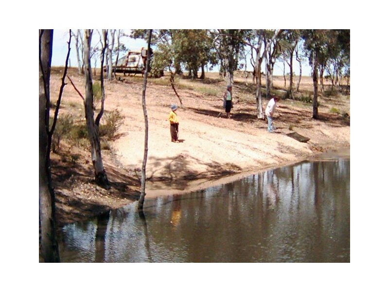 399 Dangin North Road, Dulbelling WA 6383